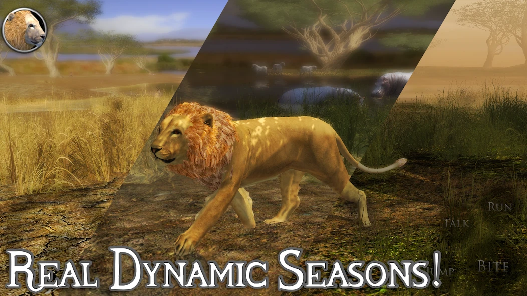 Ultimate Lion Simulator 2 screenshot 4