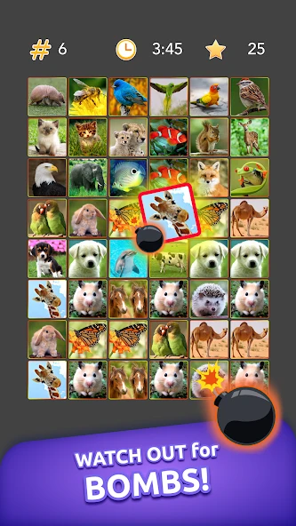 Onnect - Pair Matching Puzzle screenshot 5