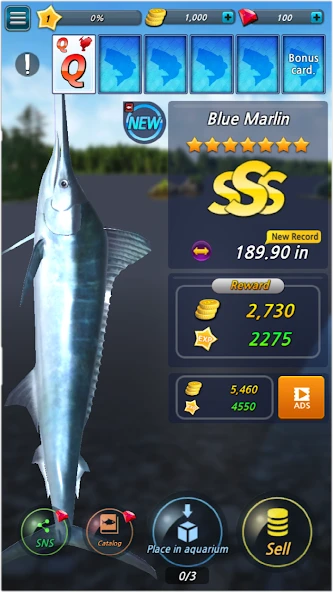 Fishing Season : River To Ocean screenshot 3