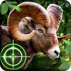 Wild Hunter 3D APK icon