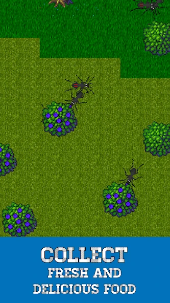 Ant Evolution - ant terrarium and life simulator screenshot 2