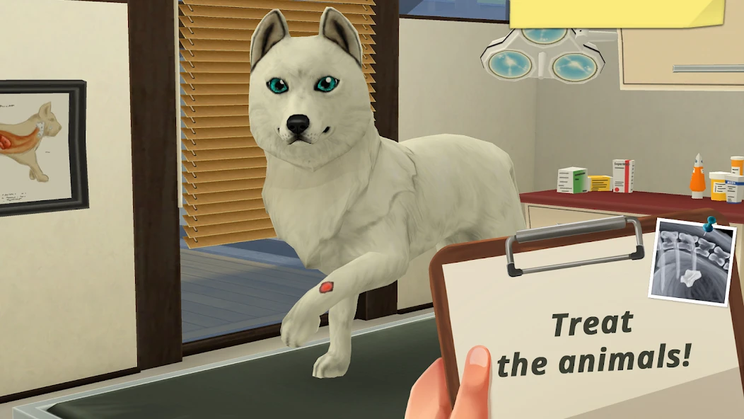 Pet World – My Animal Hospital – Dream Jobs: Vet screenshot 4