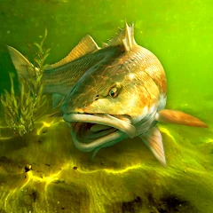 My Fishing World - Realistic fishing icon