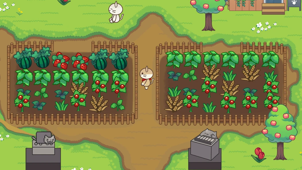 Cat Forest - Healing Camp screenshot 3